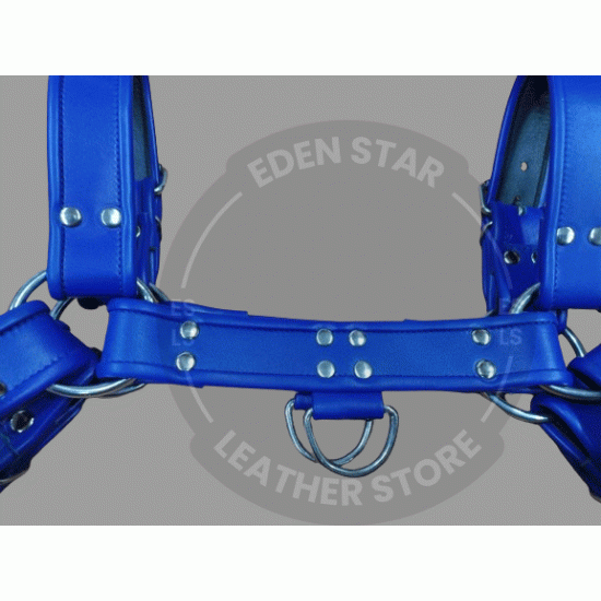 Blue Chest Harness with Closure Buckles for Secure Fit - Adjust Harness Buckle System - Chest Support Harness - Chest Strap Harness Blue Chest Harness with Closure Buckles for Secure Fit - Adjust Harness Buckle System - Chest Support Harness - Chest Strap Harness