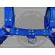 Blue Chest Harness with Closure Buckles for Secure Fit - Adjust Harness Buckle System - Chest Support Harness - Chest Strap Harness Blue Chest Harness with Closure Buckles for Secure Fit - Adjust Harness Buckle System - Chest Support Harness - Chest Strap Harness