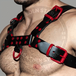 Men's Real Black Leather Bulldog Chest Harness with Red Accessory - Handcrafted Bulldog Harness - Plus Size Options - Edgy Leather Outfit
